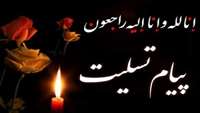 پیام تسلیت رئیس دانشکده پزشکی استان سمنان در پی درگذشت دكتر زويا هژبري ماهاني